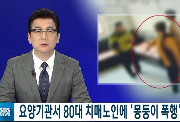 SBS 뉴스 캡처